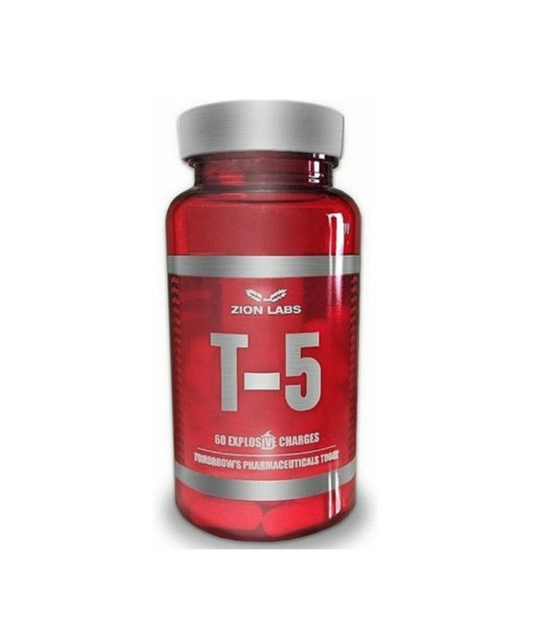 T5